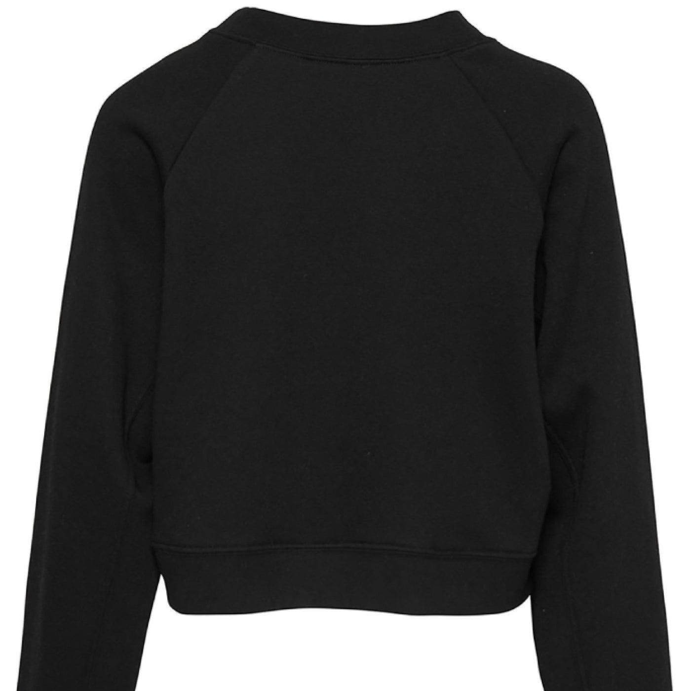Moonlit Sentinel Raglan pullover Fleece