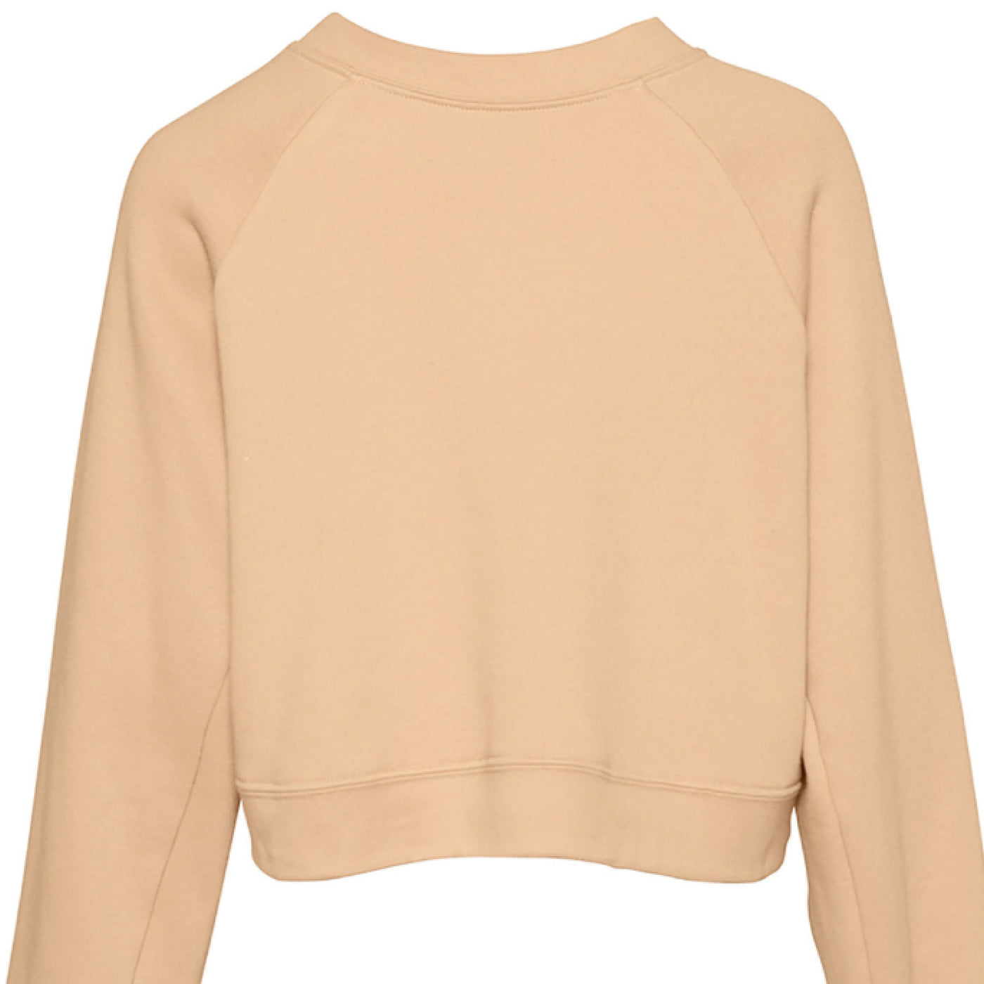Moonlit Sentinel Raglan pullover Fleece