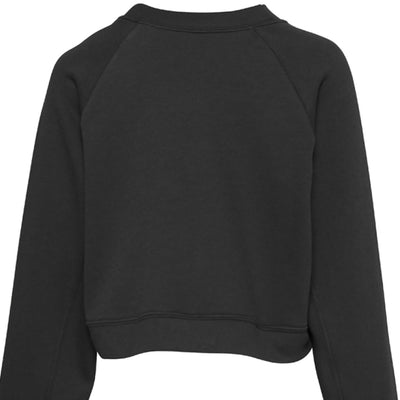 Moonlit Sentinel Raglan pullover Fleece